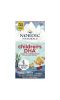 Nordic Naturals, Children's DHA, Strawberry, Ages 3-6, 250 mg, 360 Mini Soft Gels