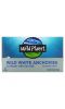 Wild Planet, Wild White Anchovies in Water With Sea Salt, 4.4 oz (125 g)