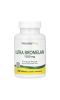 Nature's Plus, Bromelain Supplement 1500 (бромелайновая добавка), максимальная эффективность, 60 таблеток