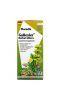 Gaia Herbs, Floradix, Gallexier Herbal Bitters, Liquid Herbal Supplement, 8.5 fl oz (250 ml)
