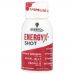 Bee & You, EnergyX ™ Shot, 50 мл (1,69 жидк. Унции)