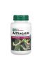NaturesPlus, Herbal Actives, астрагал, 450 мг, 60 веганских капсул