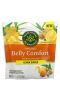 Traditional Medicinals, Organic Belly Comfort, Lemon Ginger, 30 Individually Wrapped Lozenges