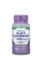 Nature's Truth, Sambucus Black Elderberry, 1,000 mg, 100 Quick Release Capsules