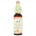 Bach, Original Flower Remedies, каменная роза, 10 мл (0,35 жидк. унции)