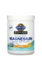 Garden of Life, Dr. Formulated, порошок магния из цельных продуктов, апельсин, 197,4 г