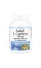 Natural Factors, Acetyl-L-Carnitine, 500 mg, 120 Vegetarian Capsules
