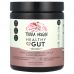 Terra Origin, Healthy Gut, Berry, 8.57 oz (243 g)