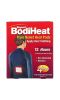 Beyond BodiHeat, пластыри для облегчения боли, 4 шт. в упаковке