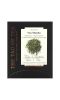 The Tao of Tea, Органический зеленый чай, сен матча, 15 пакетиков-пирамидок, 37,5 г (1,32 унции)