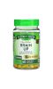 Nature's Truth, Brain Up, с L-теанином, бакопой, витамином B-12, MCT, 60 мягких таблеток Liquid Max