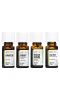 Aura Cacia, Purify Kit, очищающие чистые эфирные масла, 4 флакона по 7,4 мл (0,25 жидк. Унции)