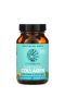 Sunwarrior, Plant-Based Collagen, Restore & Protect, 30 Vegan Capsules