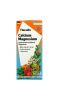 Gaia Herbs, Floradix, Calcium Magnesium, 8.5 fl oz (250 ml)