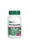 NaturesPlus, Herbal Actives, ашваганда, 450 мг, 60 веганских капсул