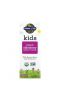 Garden of Life, Kids Organic Elderberry Immune Syrup 3.9 fl oz (116 mL)