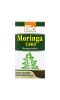 Bio Nutrition, Суперпродукт Моринга, 5000 мг, 90 растительных капсул