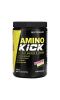 Nutrabio Labs, Amino Kick, ананас с маракуйей, 274 г (0,6 фунта)