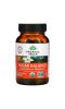 Organic India, Sugar Balance, здоровый метаболизм глюкозы, 90 растительных капсул