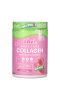 Obvi, More Than Collagen, Watermelon, 10.93 oz (310 g)