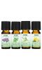 Now Foods, Let It Be Organically, Organic Essential Oils Kit, 4 Bottles, 1/3 fl oz (10 ml) Each