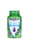 VitaFusion, Ашваганда жевательные мармеладки, голубика, 60 жевательных таблеток