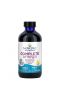 Nordic Naturals, «Совершенная Омега» с лимонным вкусом, 8 жидких унций (237 мл)