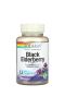 Solaray, Черная бузина с актином самбу, 30 жевательных таблеток