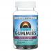Source Naturals, Wellness Gummies, бузина, 60 жевательных таблеток
